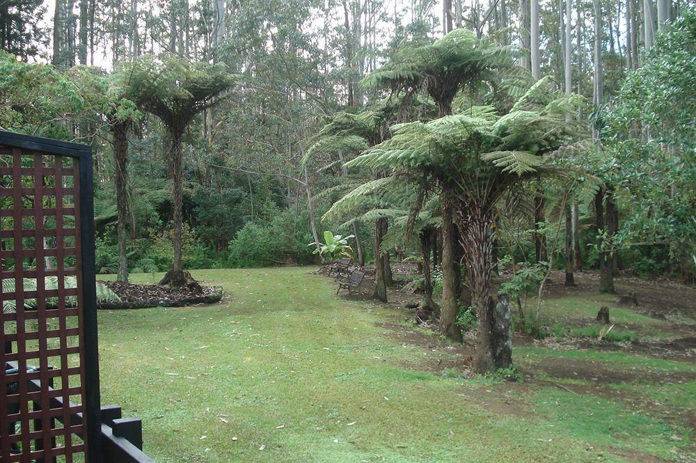 Woodlands Motel Kerikeri Buitenkant foto