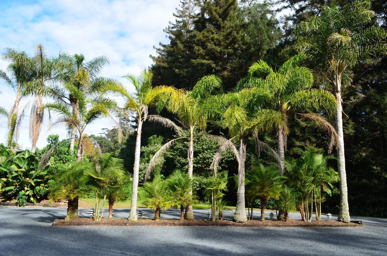 Woodlands Motel Kerikeri Buitenkant foto